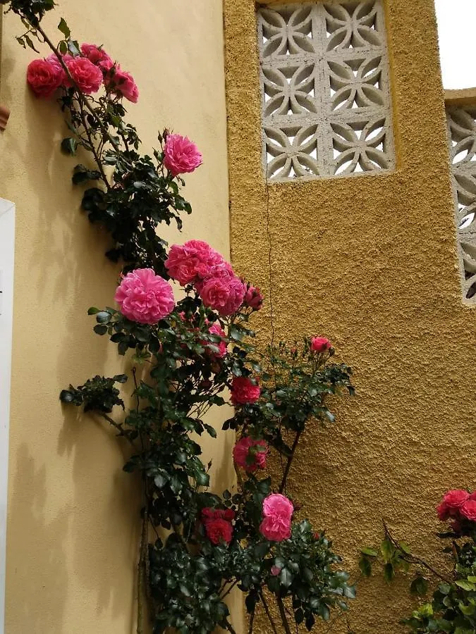Villa Humboldt La Orotava Spain